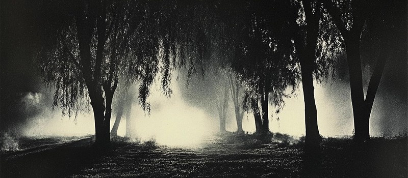 The CIA's Secret Weapon: Whispering Willows That Haunt the Enemy